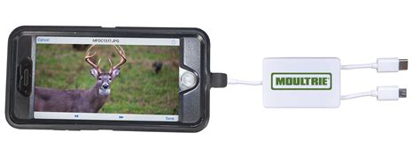 moultrie sd card scanner